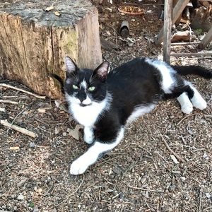 Meet your Posher, Lid